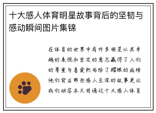 十大感人体育明星故事背后的坚韧与感动瞬间图片集锦